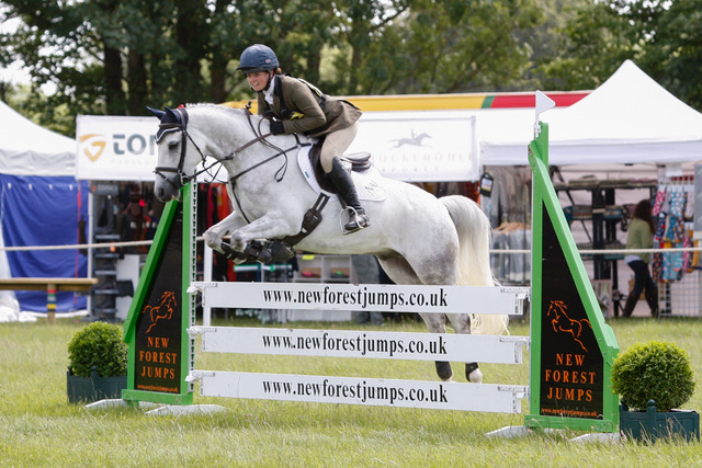 Sports Horse Stud in Somerset and UK