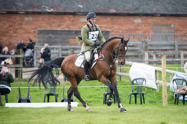 Jonkers Metyo | Sports Horse Stud in Somerset and UK gallery image 1