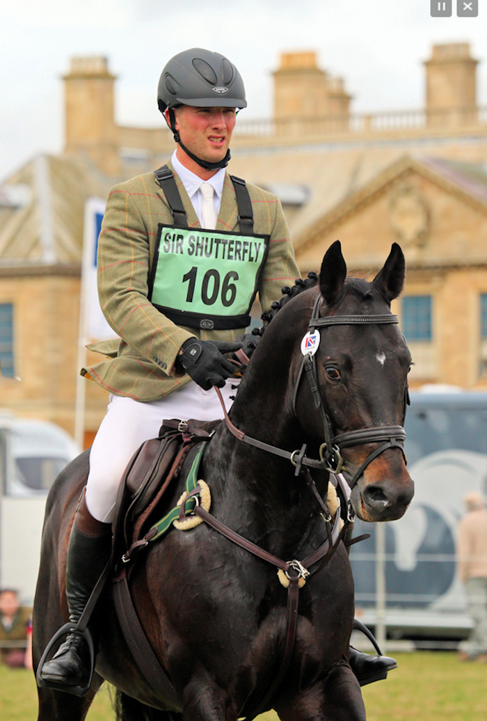 Sir Shutterfly | Sports Horse Stud in Somerset and UK gallery image 5
