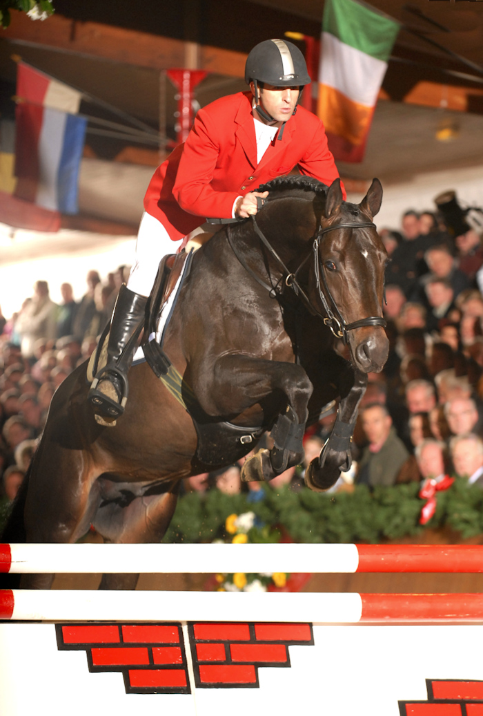 Sir Shutterfly | Sports Horse Stud in Somerset and UK gallery image 3